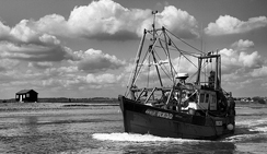 手机号轰炸免费在线网站