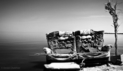 手机号轰炸免费在线网站