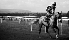 免费用虚拟号码发电话