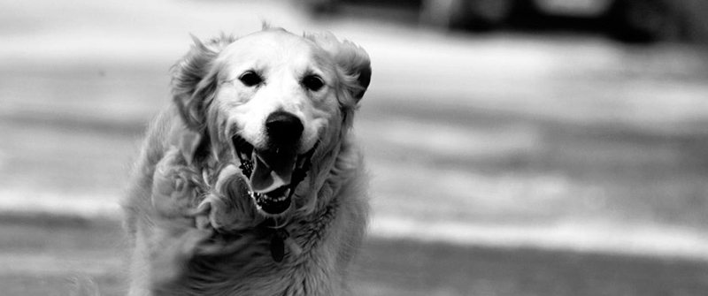 手机号轰炸免费在线网站